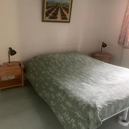 Petite Maison Alsacienne 度假居