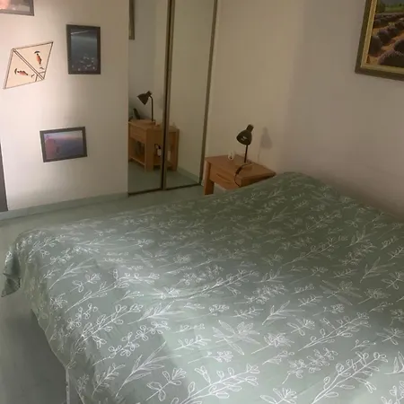 Petite Maison Alsacienne 度假居